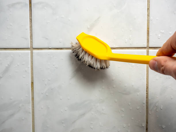 Reliable Appalachia, VA Mold Remediation Solutions