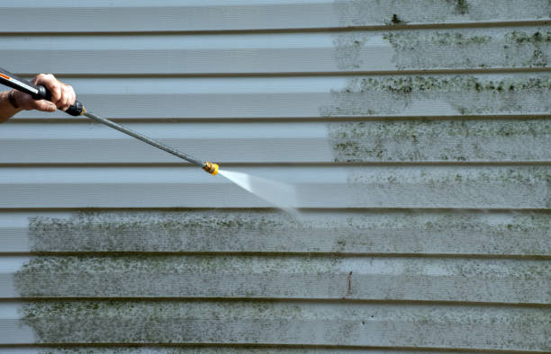 Professional Mold Remediation in Appalachia, VA