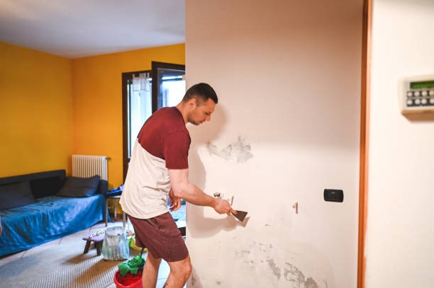 Best Basement Mold Remediation in Appalachia, VA